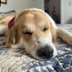 Meet your Posher, Hawthorn